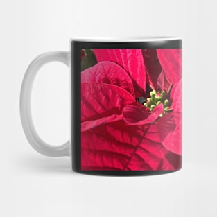 Red Poinsettia for Peace, Joy, Harmony and a Joyous Christmas Mug